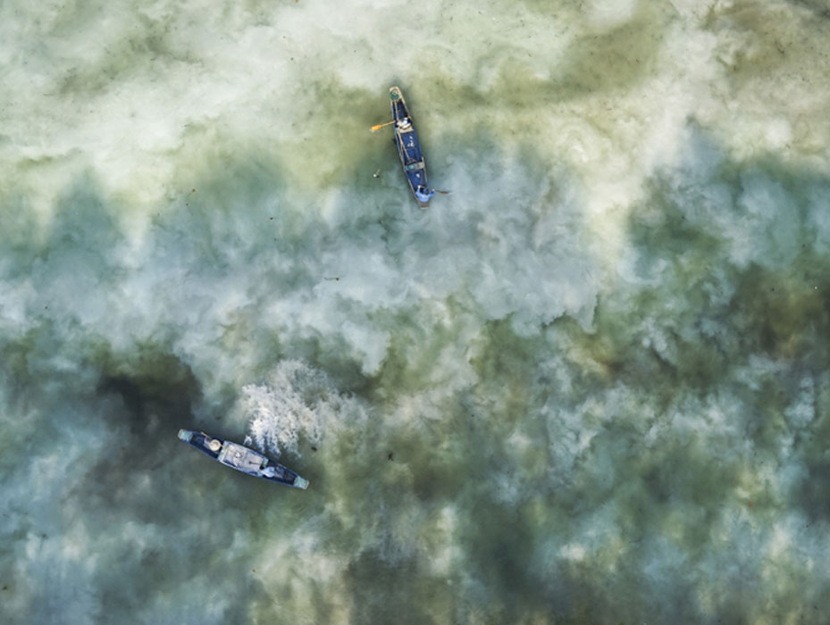 水產(chǎn)養(yǎng)殖常用的清塘方法，你用過(guò)哪種？